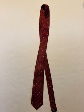 Men's Burgundy Micro Dot Tie - Polished Dress Accessory